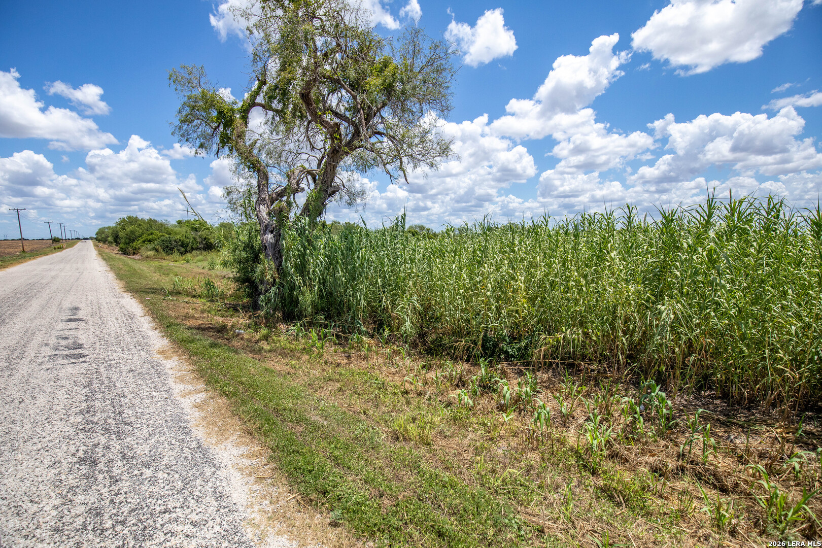 0 Cr 647 Mathis TX 78368