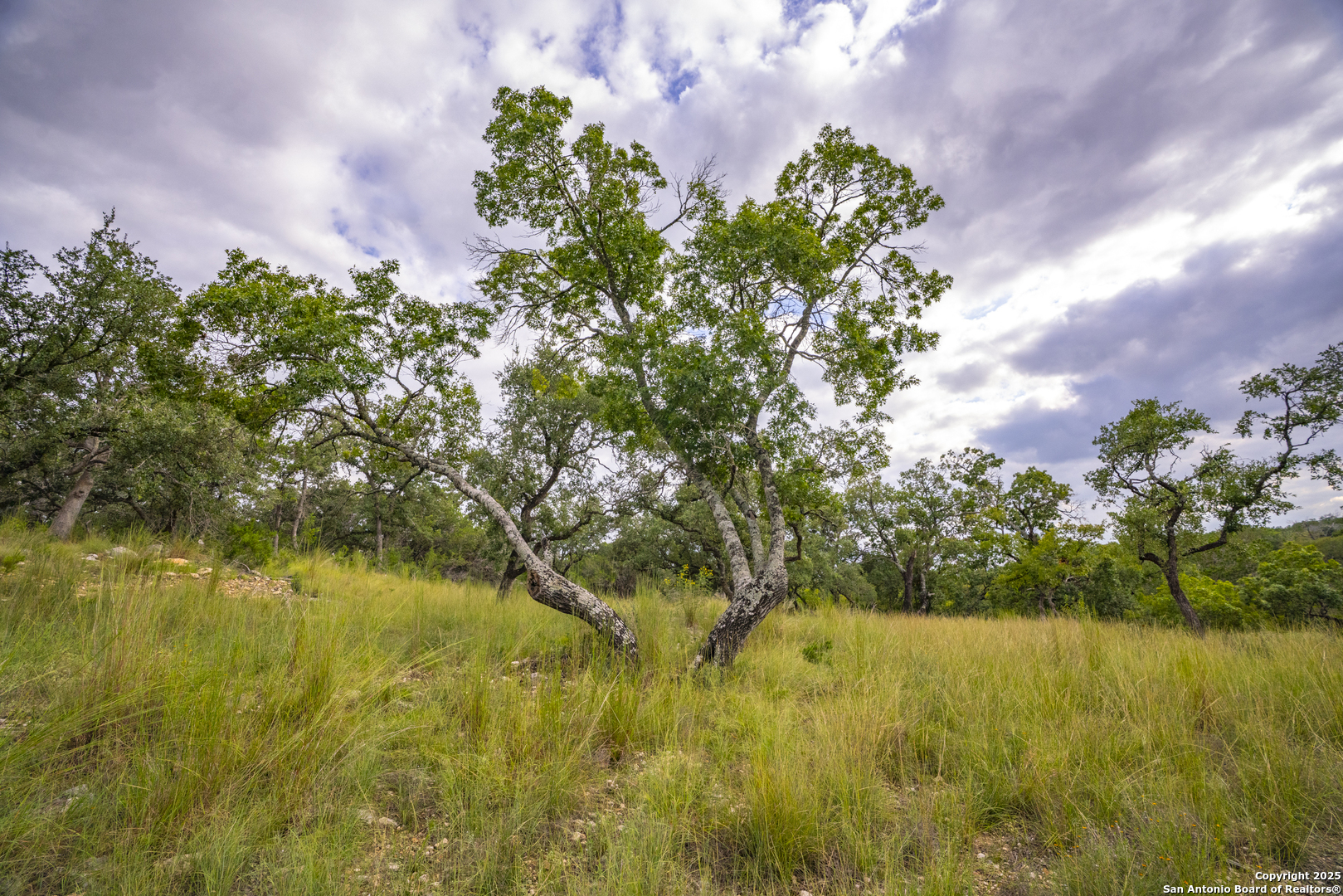 247 Betty Bandera TX 78003