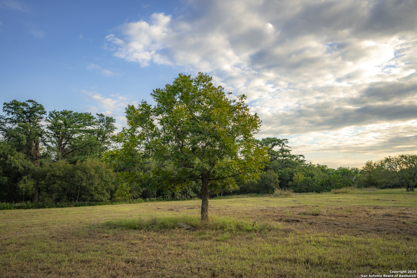247 Betty Bandera TX 78003
