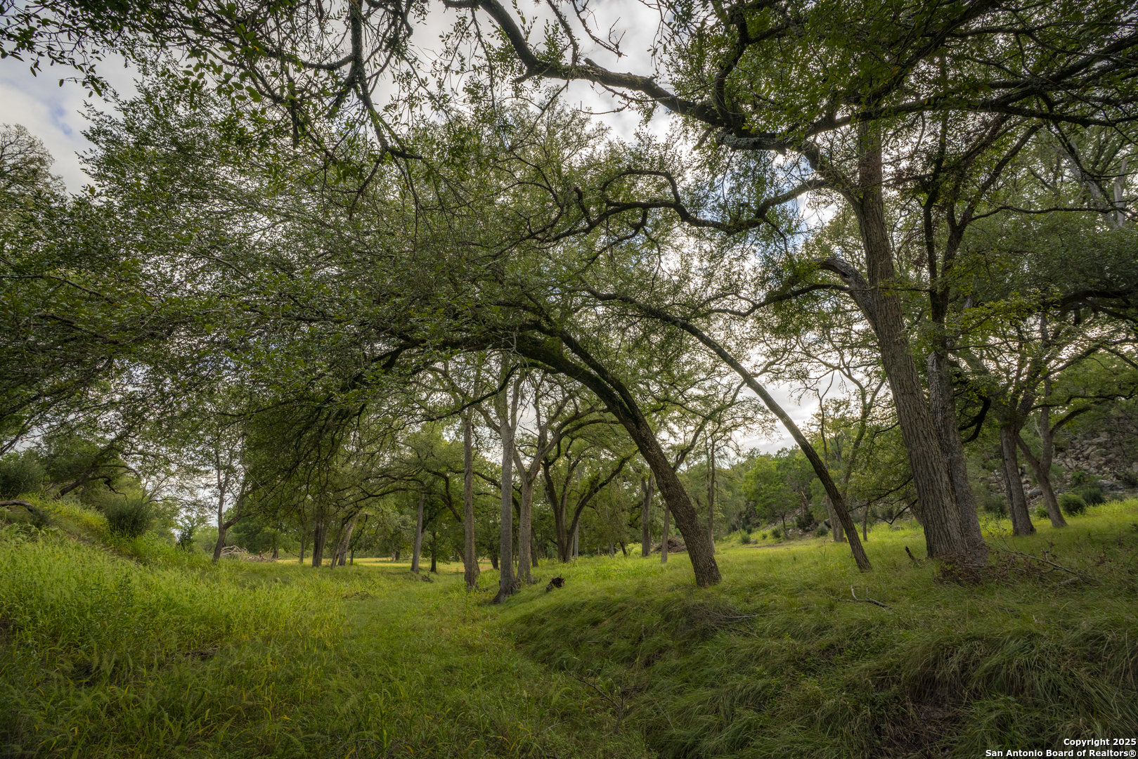 247 Betty Bandera TX 78003