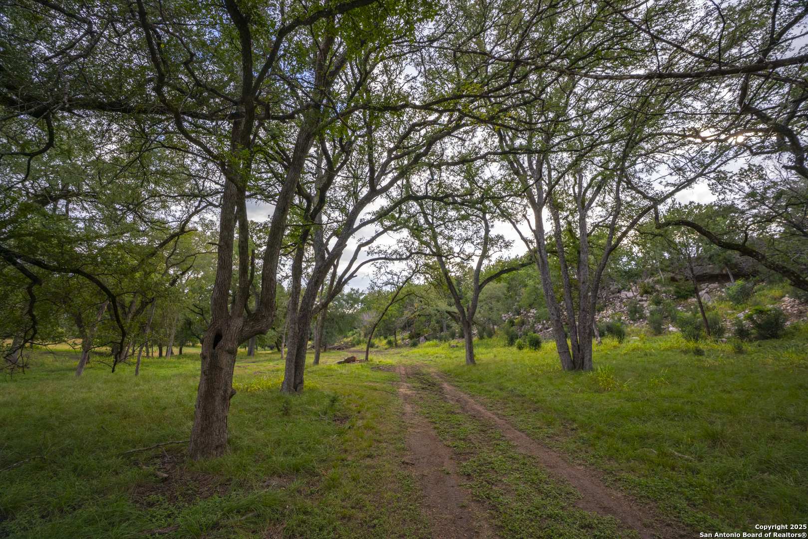 247 Betty Bandera TX 78003