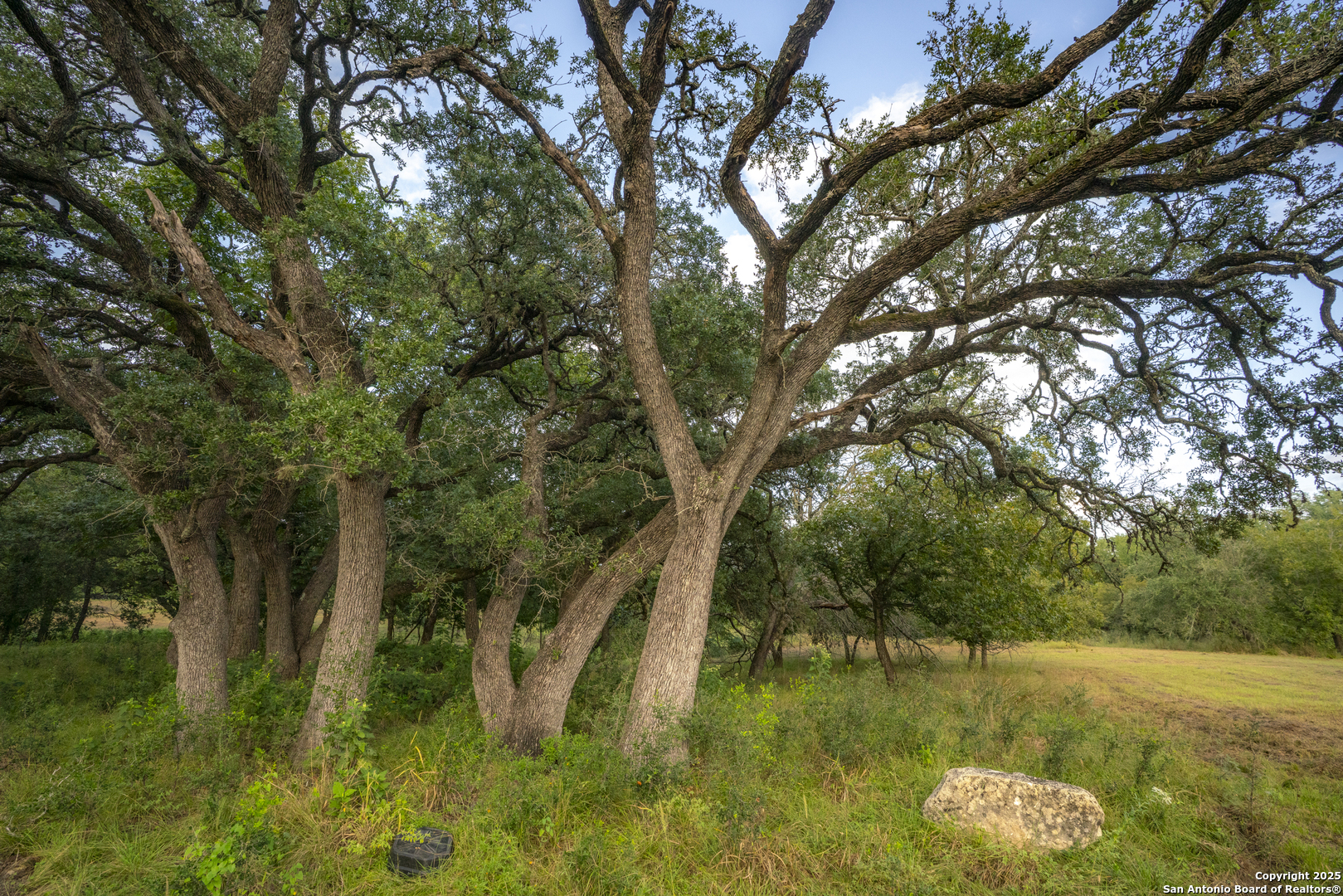 247 Betty Bandera TX 78003