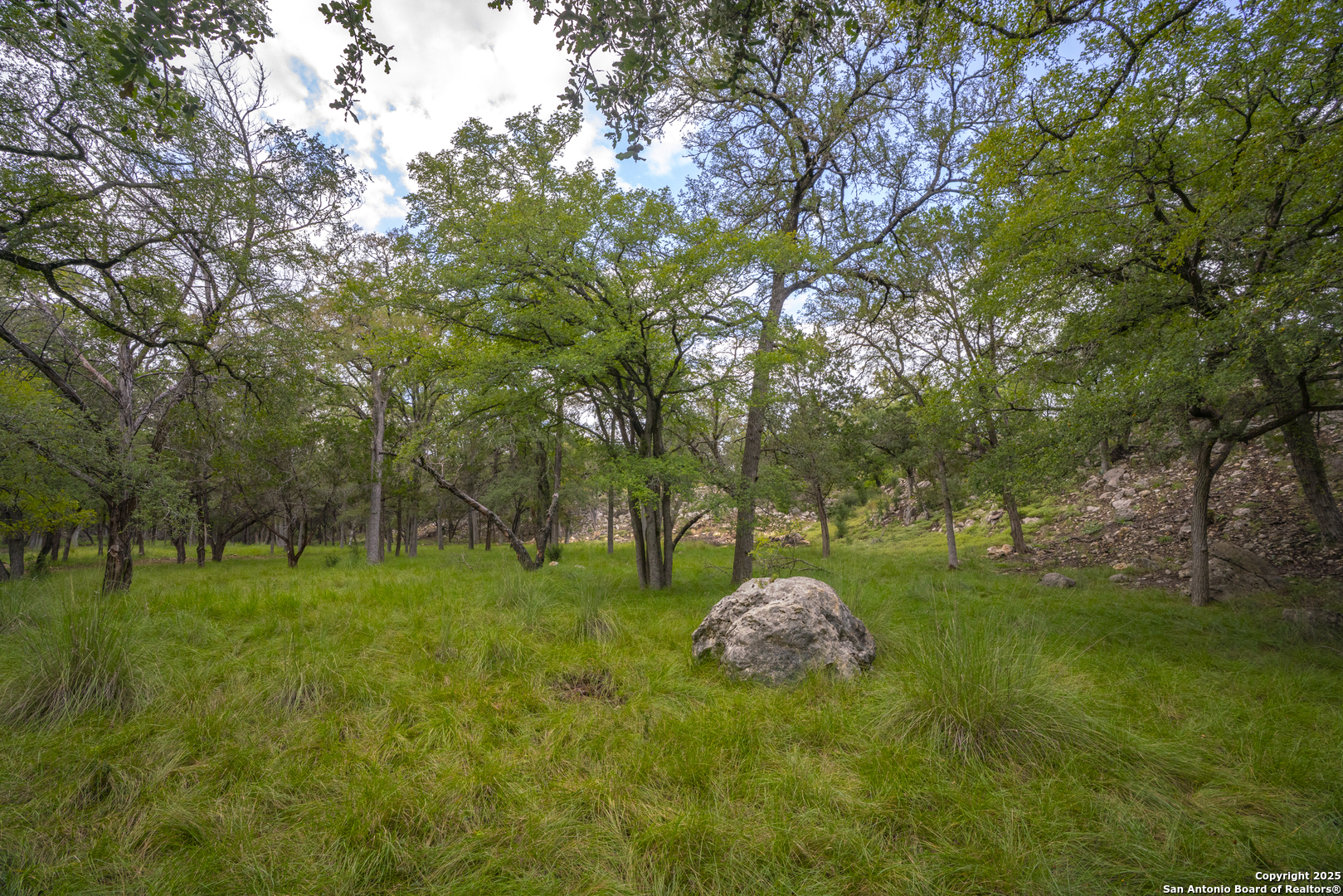 247 Betty Bandera TX 78003