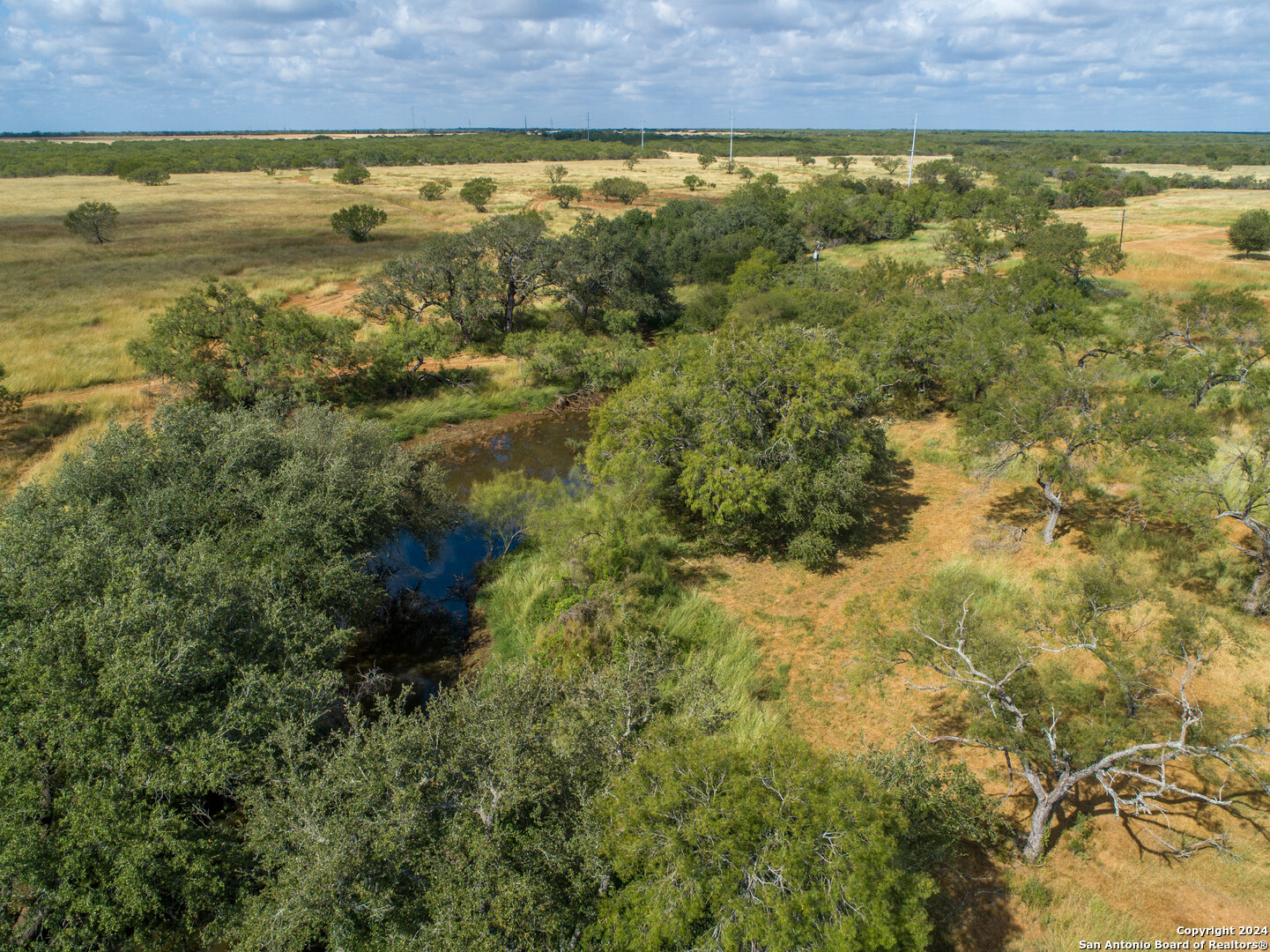 546 Pr Goose Creek Lane Jourdanton TX 78026