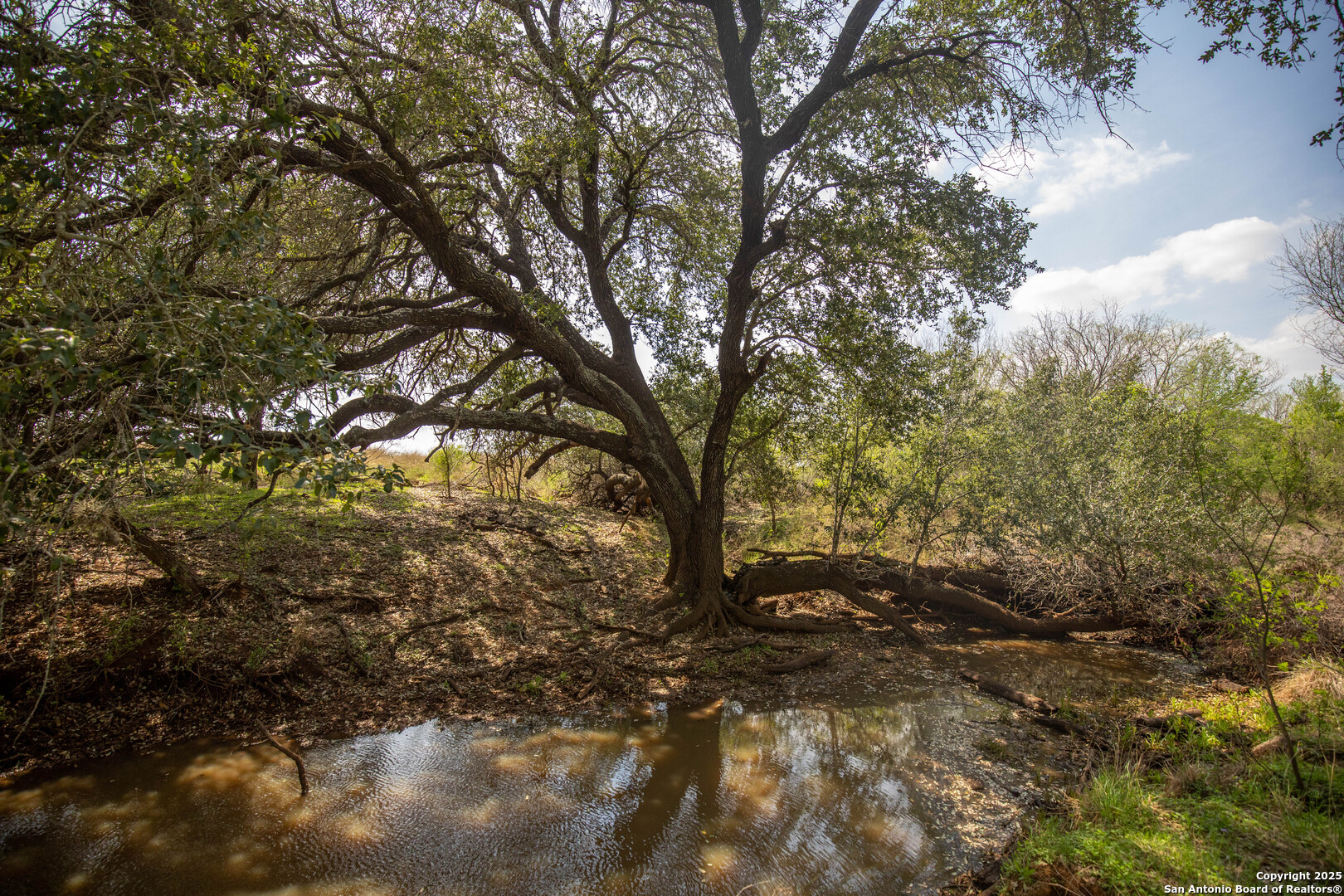 546 Pr Goose Creek Lane Jourdanton TX 78026