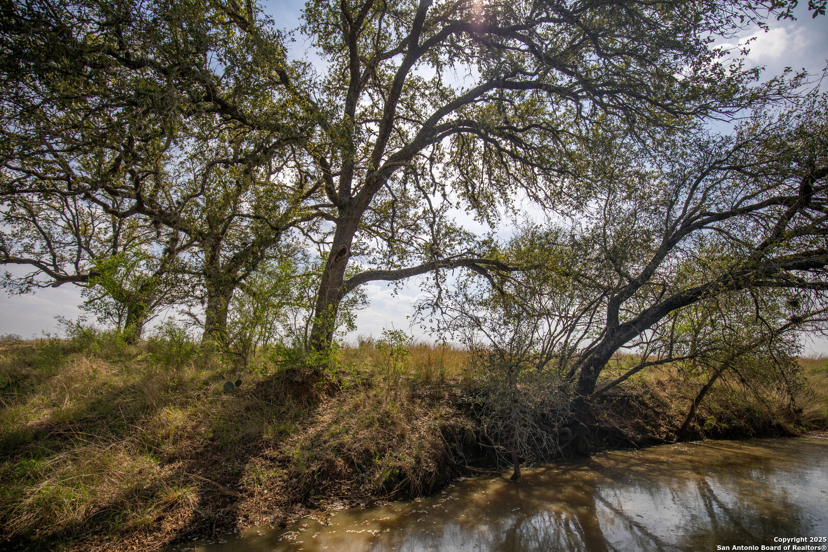 546 Pr Goose Creek Lane Jourdanton TX 78026