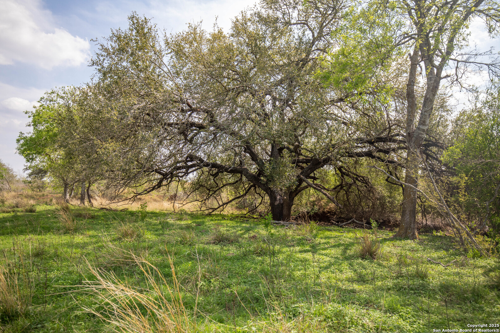 546 Pr Goose Creek Lane Jourdanton TX 78026