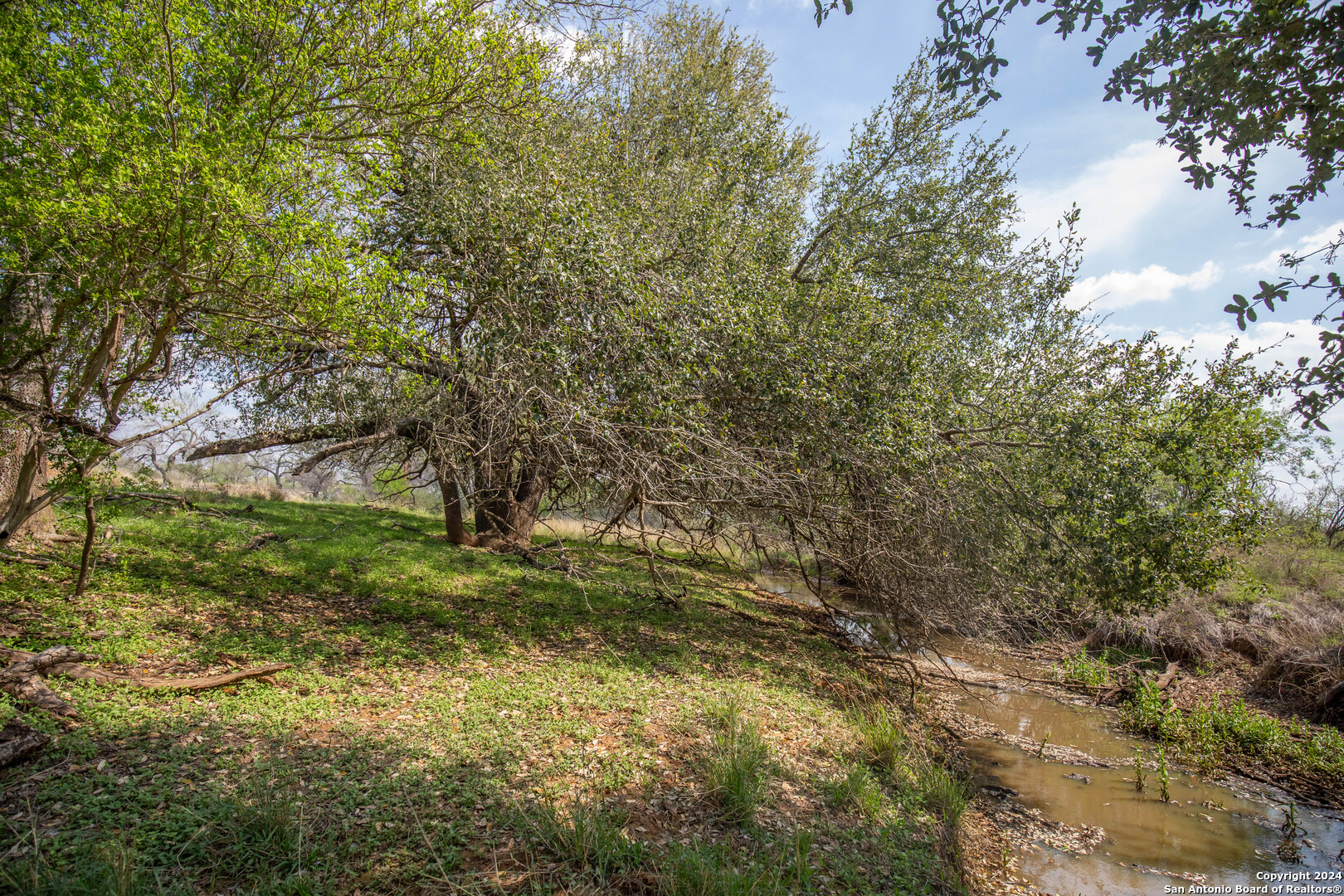 546 Pr Goose Creek Lane Jourdanton TX 78026