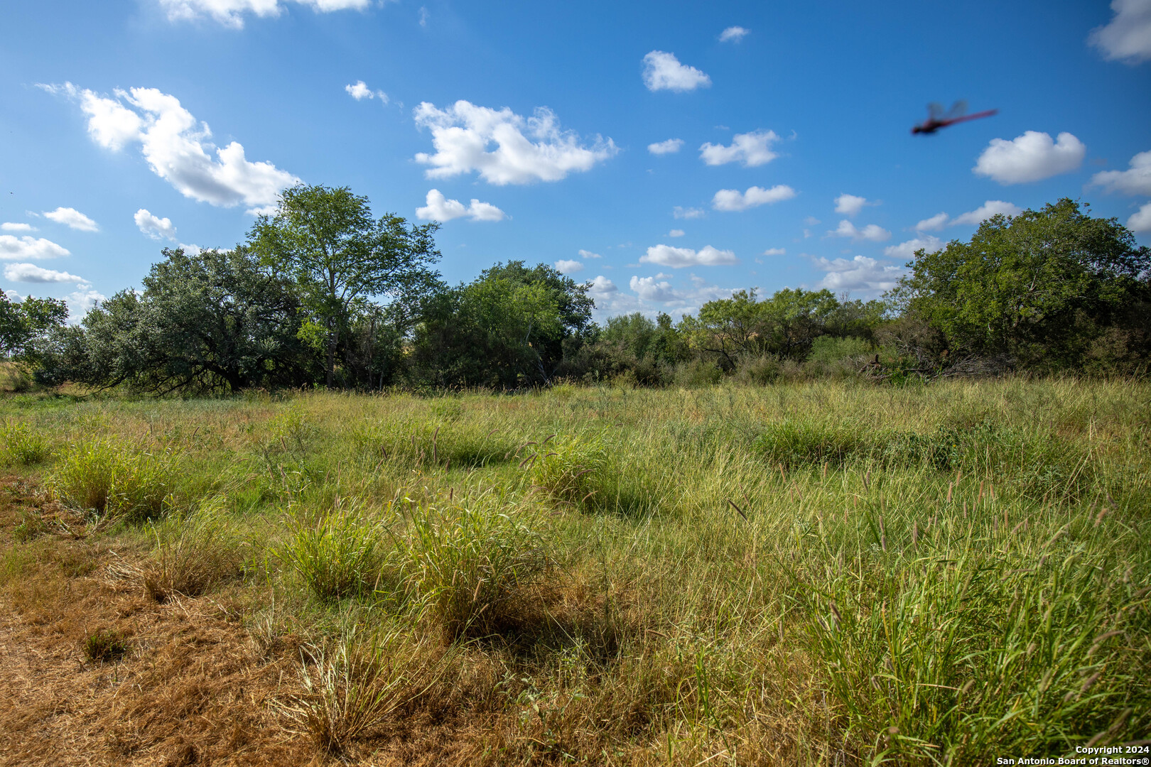 546 Pr Goose Creek Lane Jourdanton TX 78026