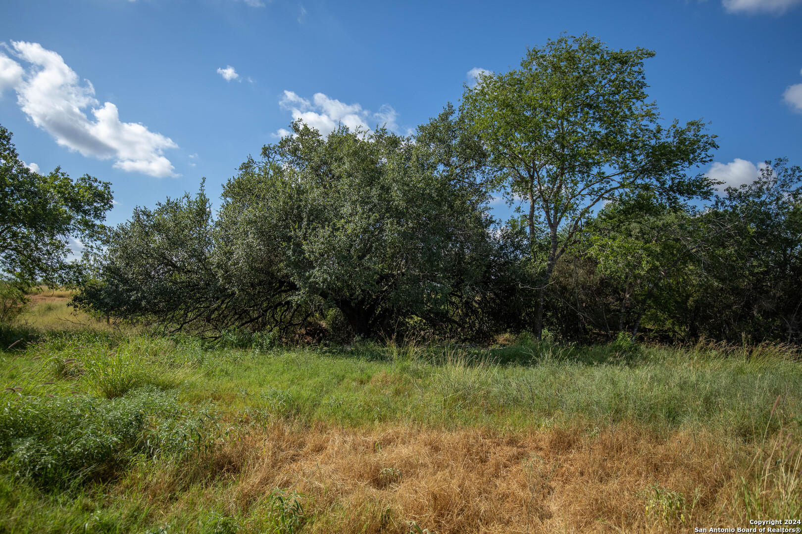 546 Pr Goose Creek Lane Jourdanton TX 78026