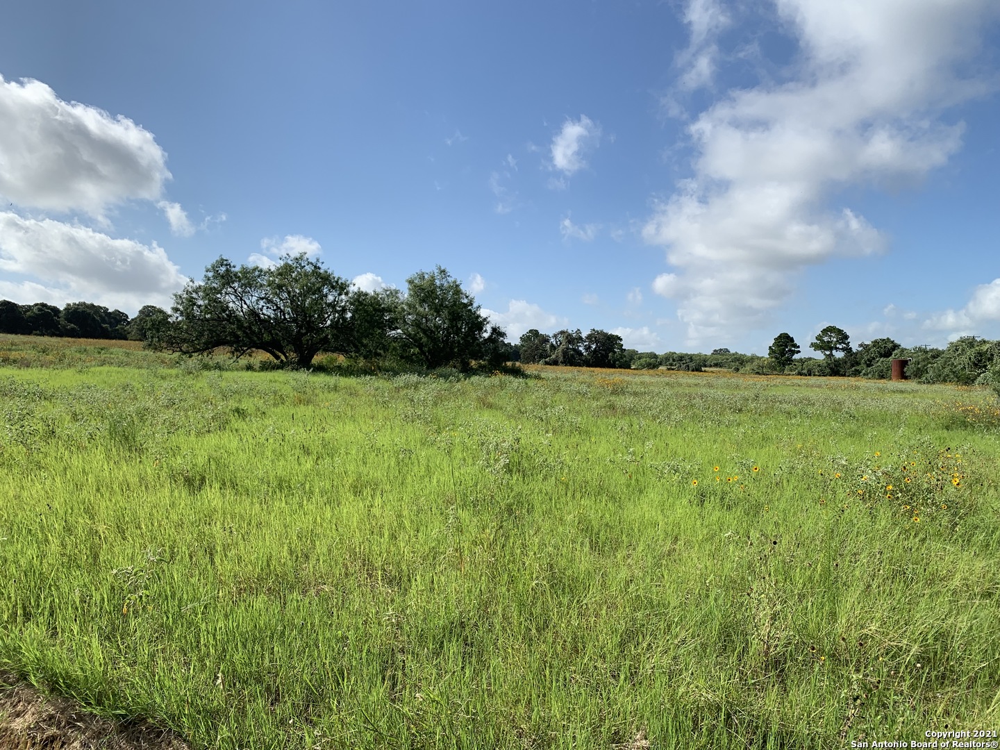 21650 Morin Road Von Ormy TX 78073