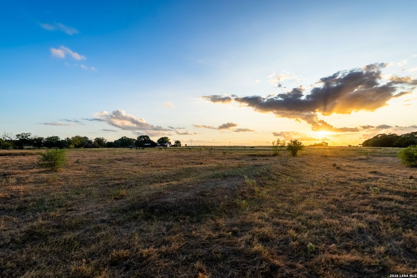 425 Seawillow Road Lockhart TX 78644