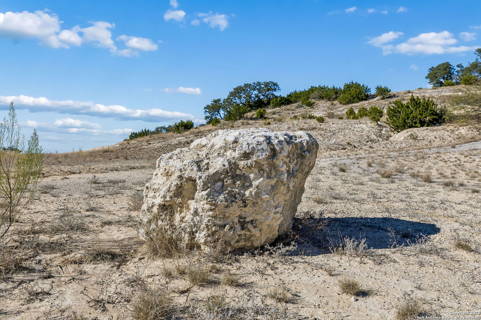 944 Metzger Fredericksburg TX 78624