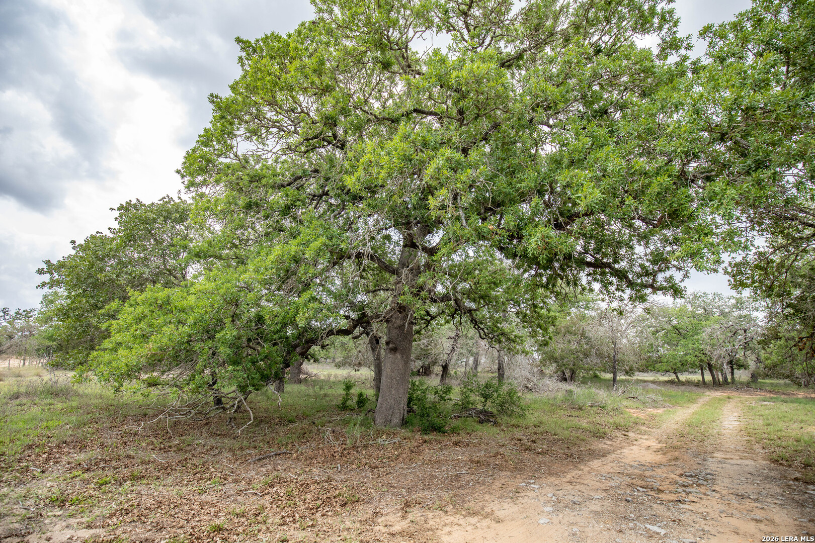 132 Roemer Lane W Floresville TX 78114