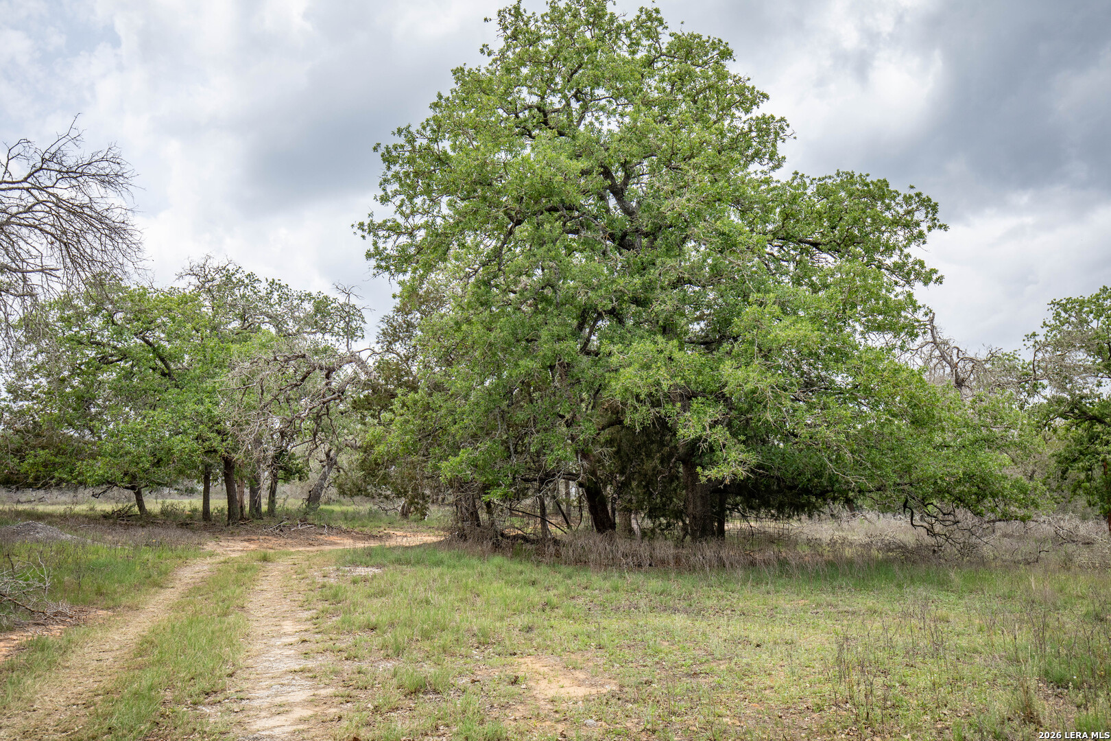 132 Roemer Lane W Floresville TX 78114