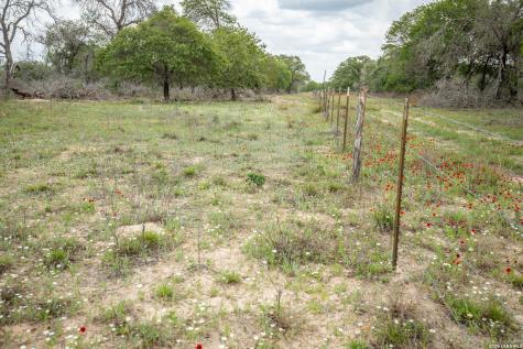 132 Roemer Lane W Floresville TX 78114