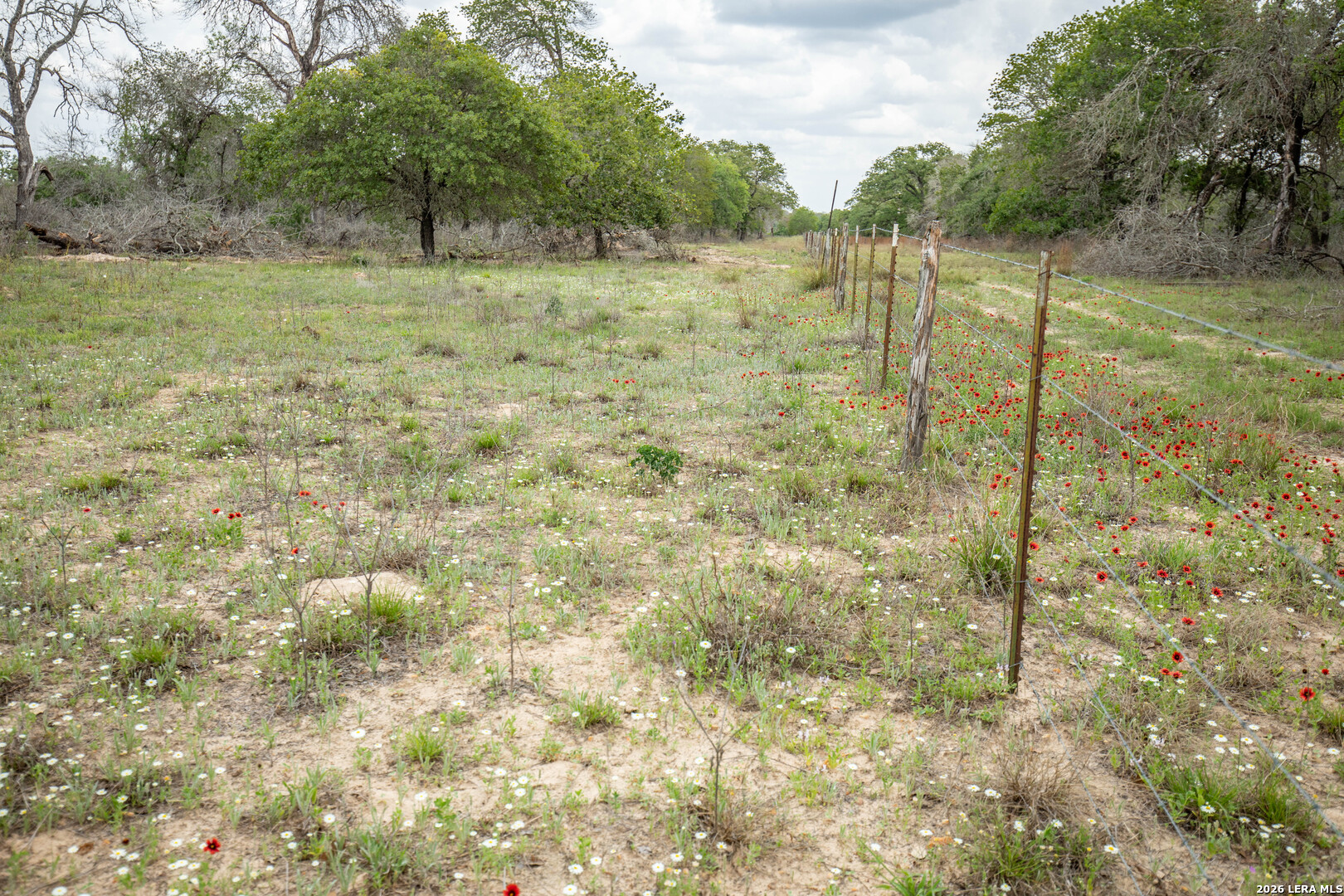 132 Roemer Lane W Floresville TX 78114