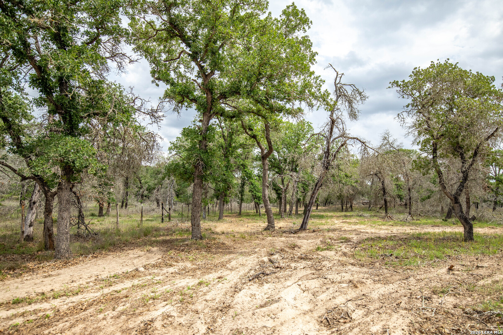 132 Roemer Lane W Floresville TX 78114