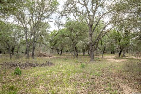132 Roemer Lane W Floresville TX 78114