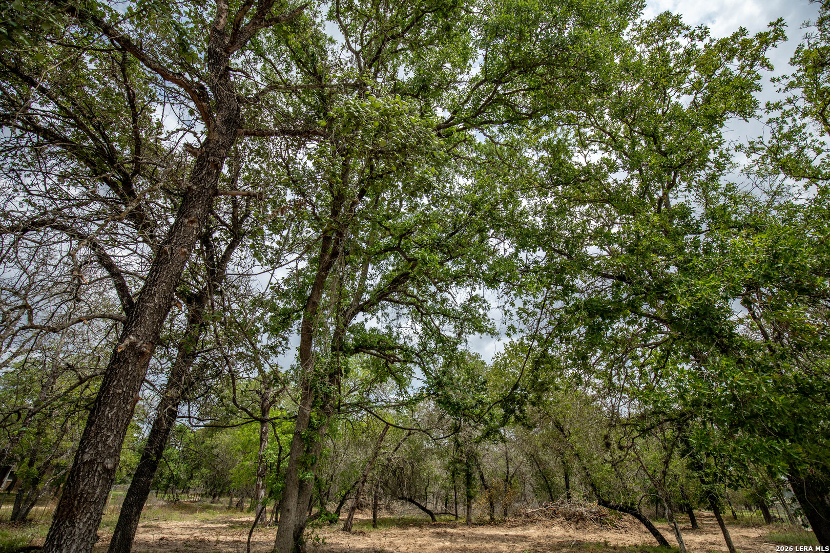 132 Roemer Lane W Floresville TX 78114