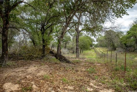 132 Roemer Lane W Floresville TX 78114