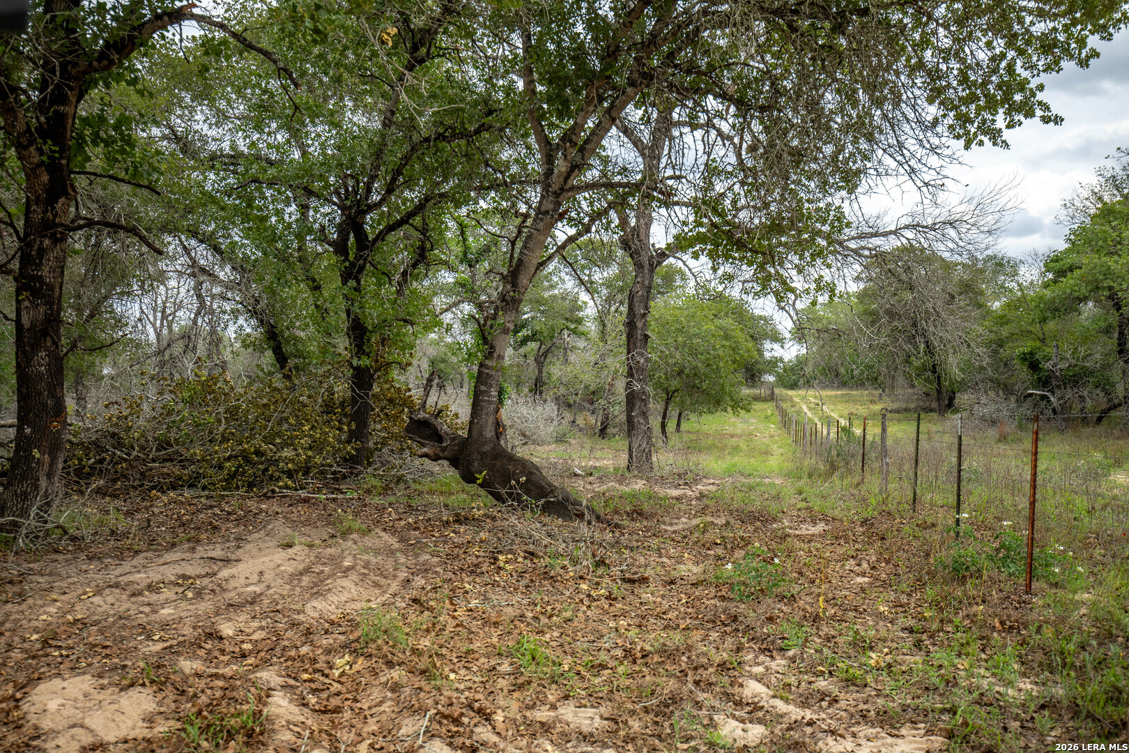 132 Roemer Lane W Floresville TX 78114