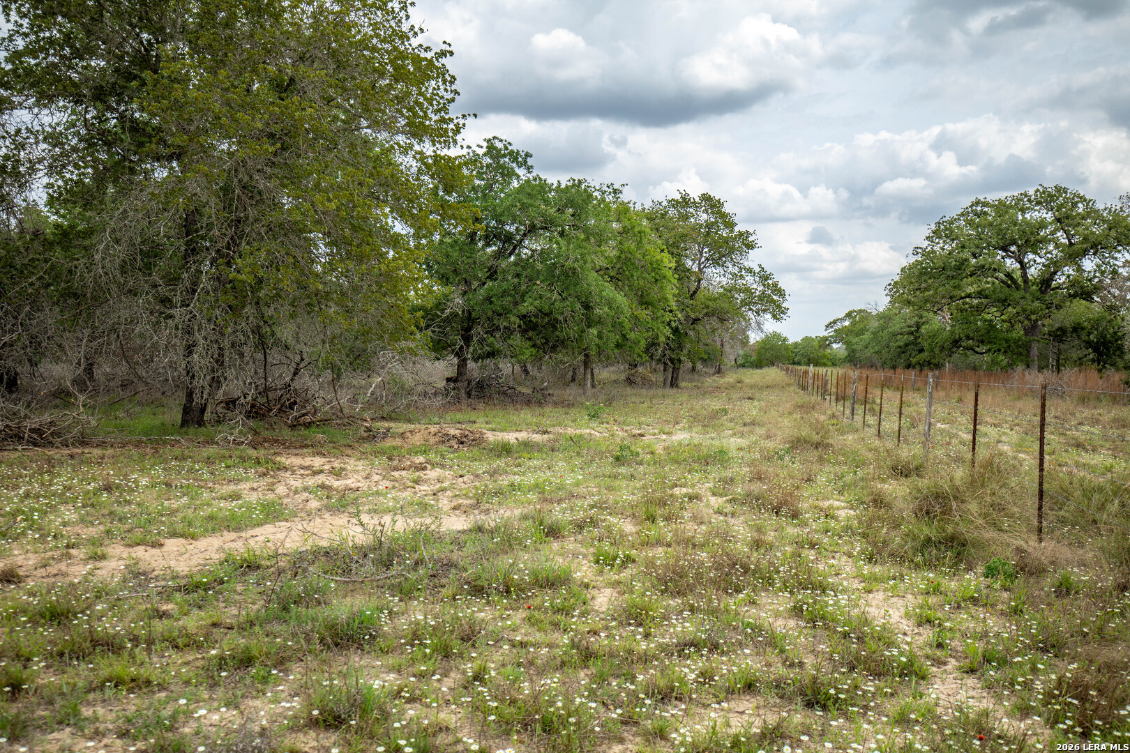 132 Roemer Lane W Floresville TX 78114