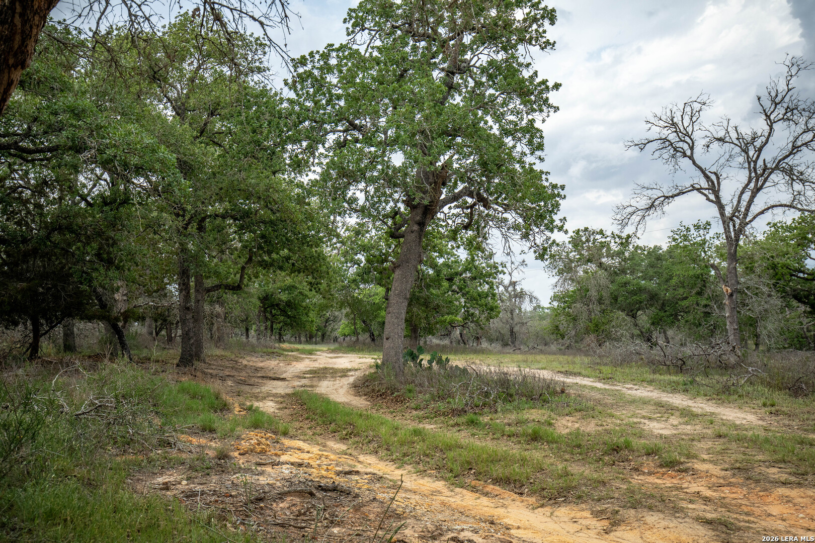 132 Roemer Lane W Floresville TX 78114