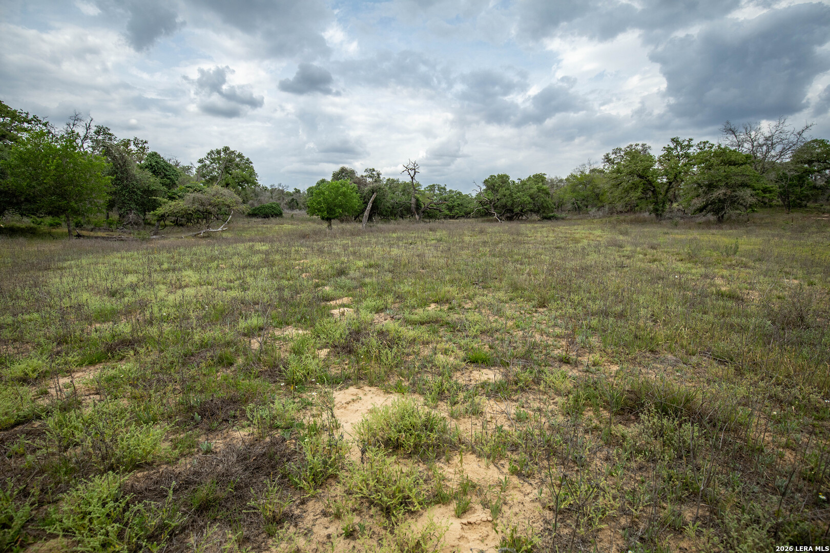 132 Roemer Lane W Floresville TX 78114