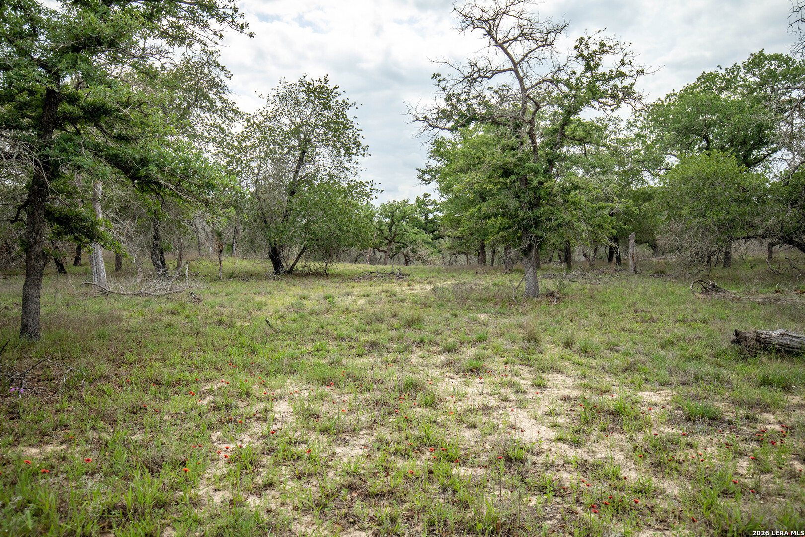 132 Roemer Lane W Floresville TX 78114