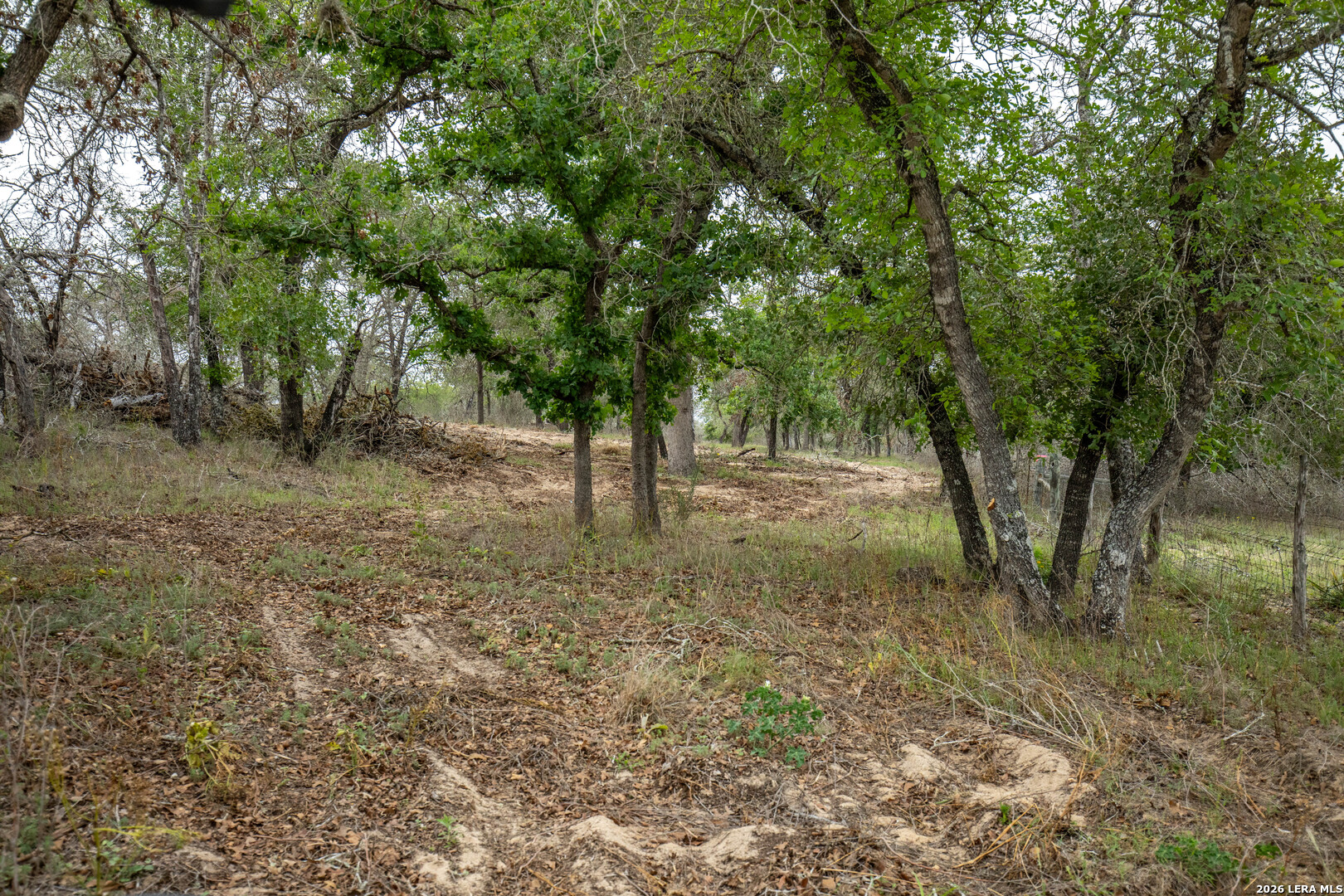 132 Roemer Lane W Floresville TX 78114