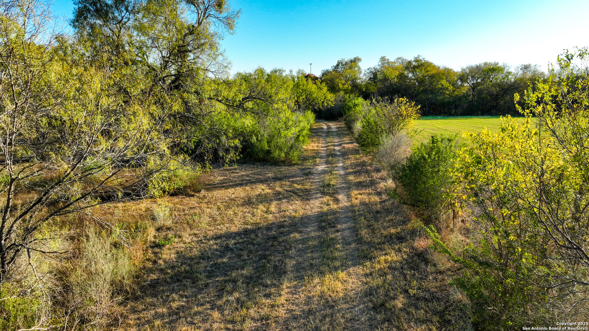 11190 Jarratt Atascosa TX 78002