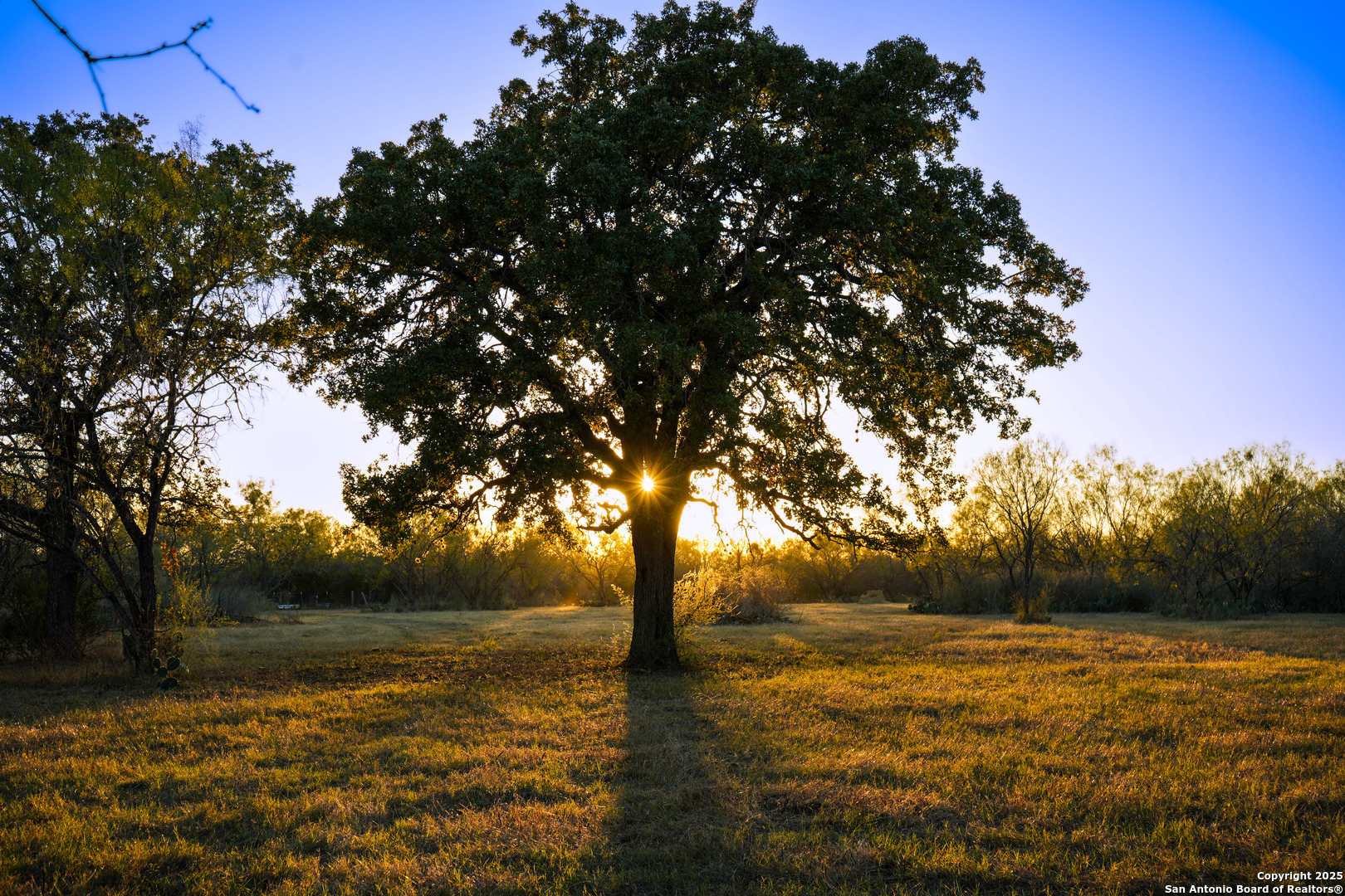 11190 Jarratt Atascosa TX 78002