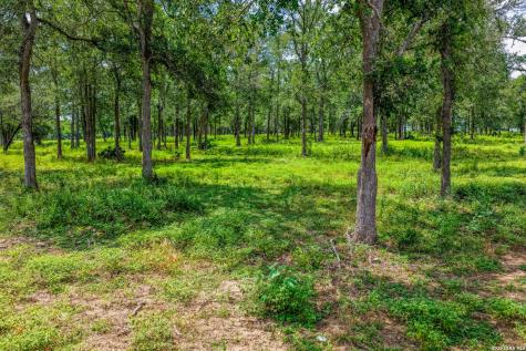 5501 Old Colony Line Road Lockhart TX 78644