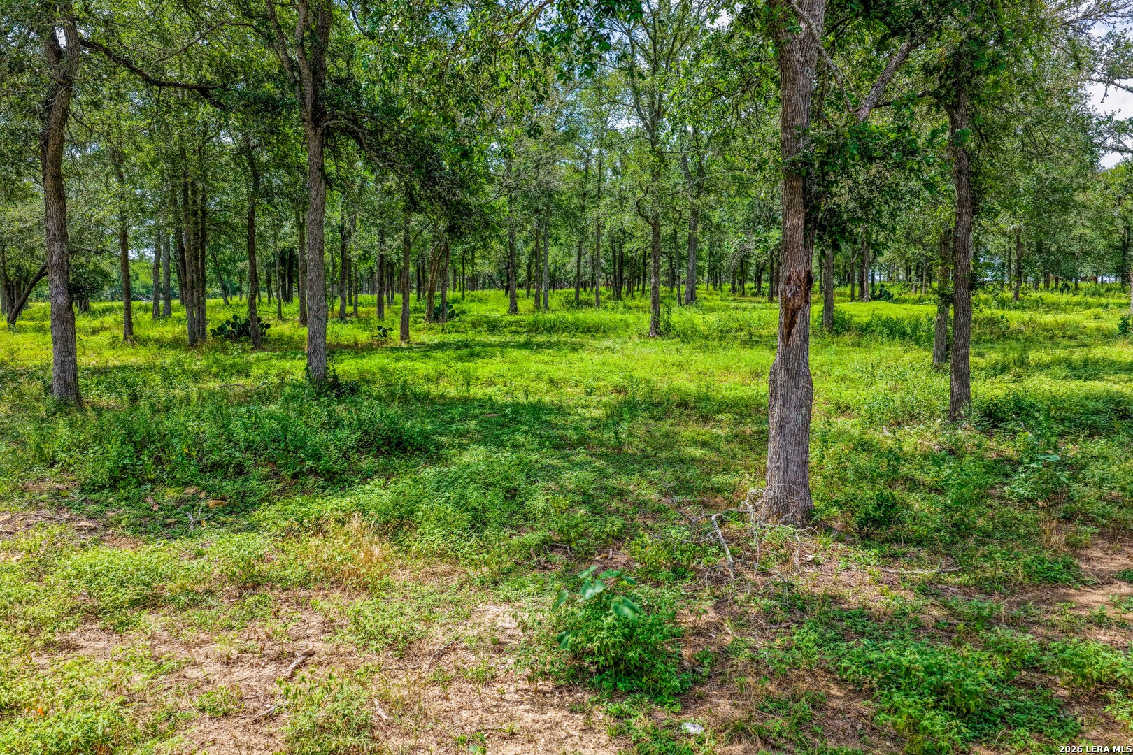 5501 Old Colony Line Road Lockhart TX 78644