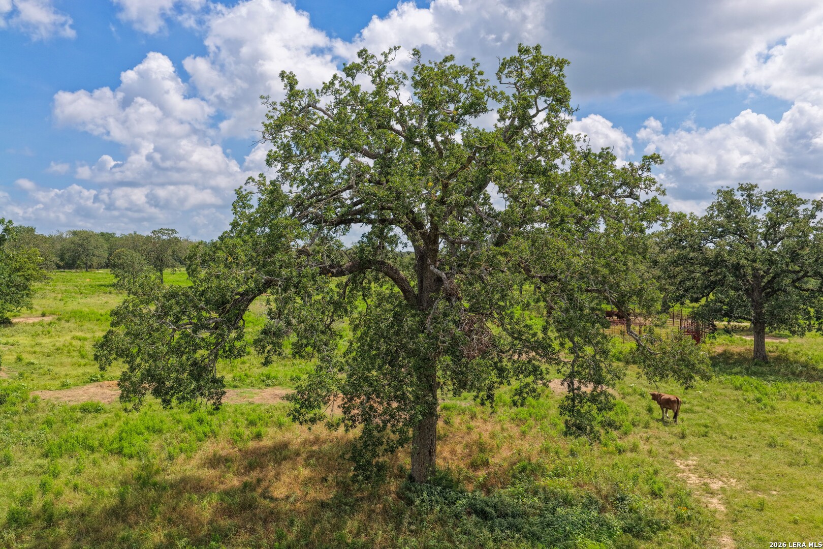 5501 Old Colony Line Road Lockhart TX 78644
