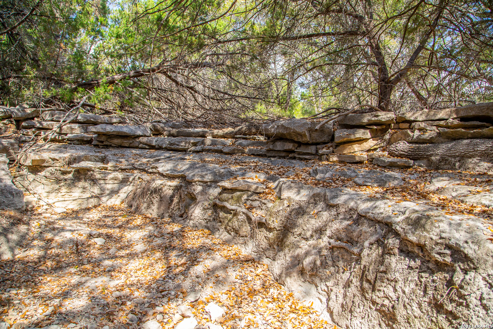 Tbd Rustling Ridge Bulverde TX 78163