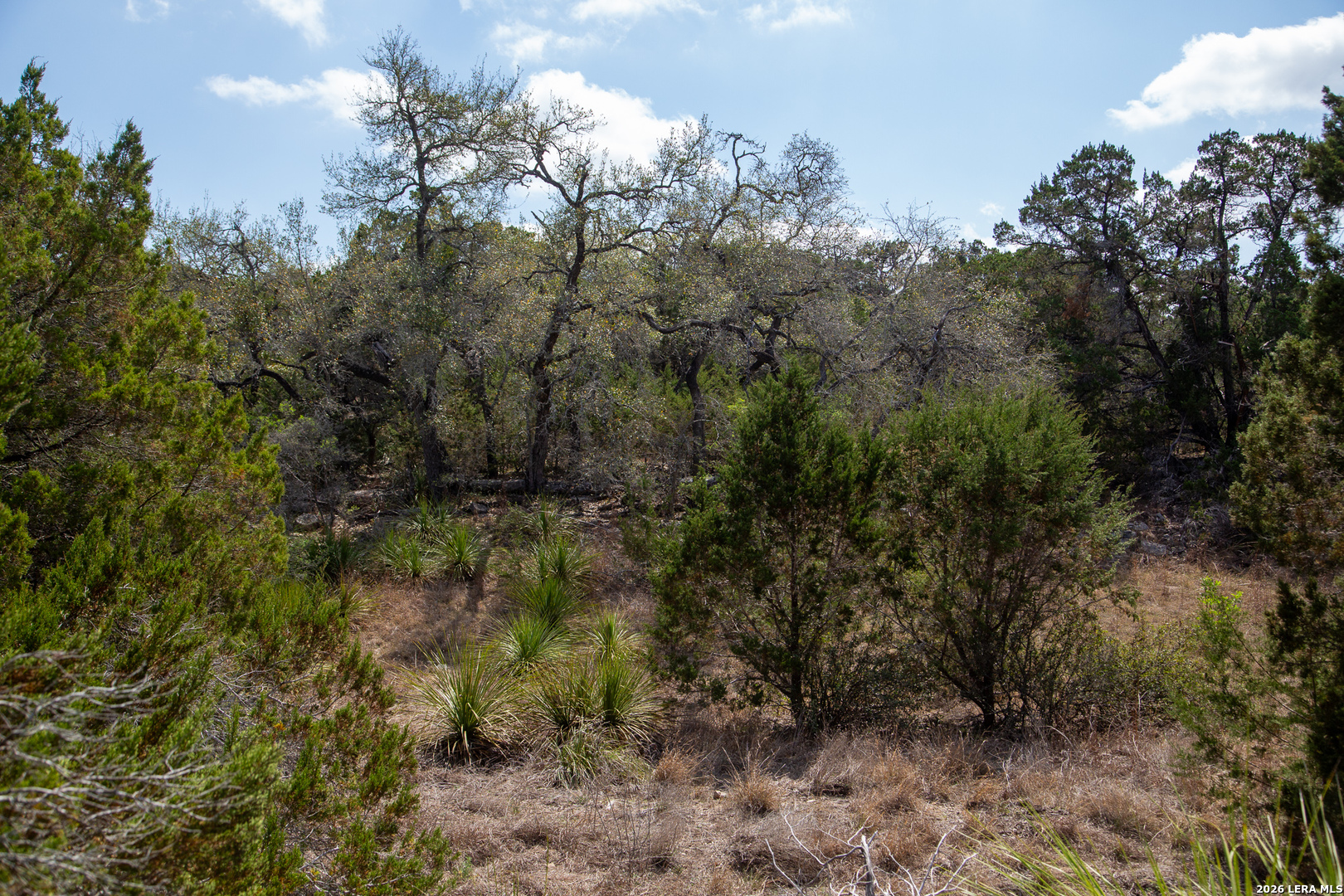 Tbd Rustling Ridge Bulverde TX 78163