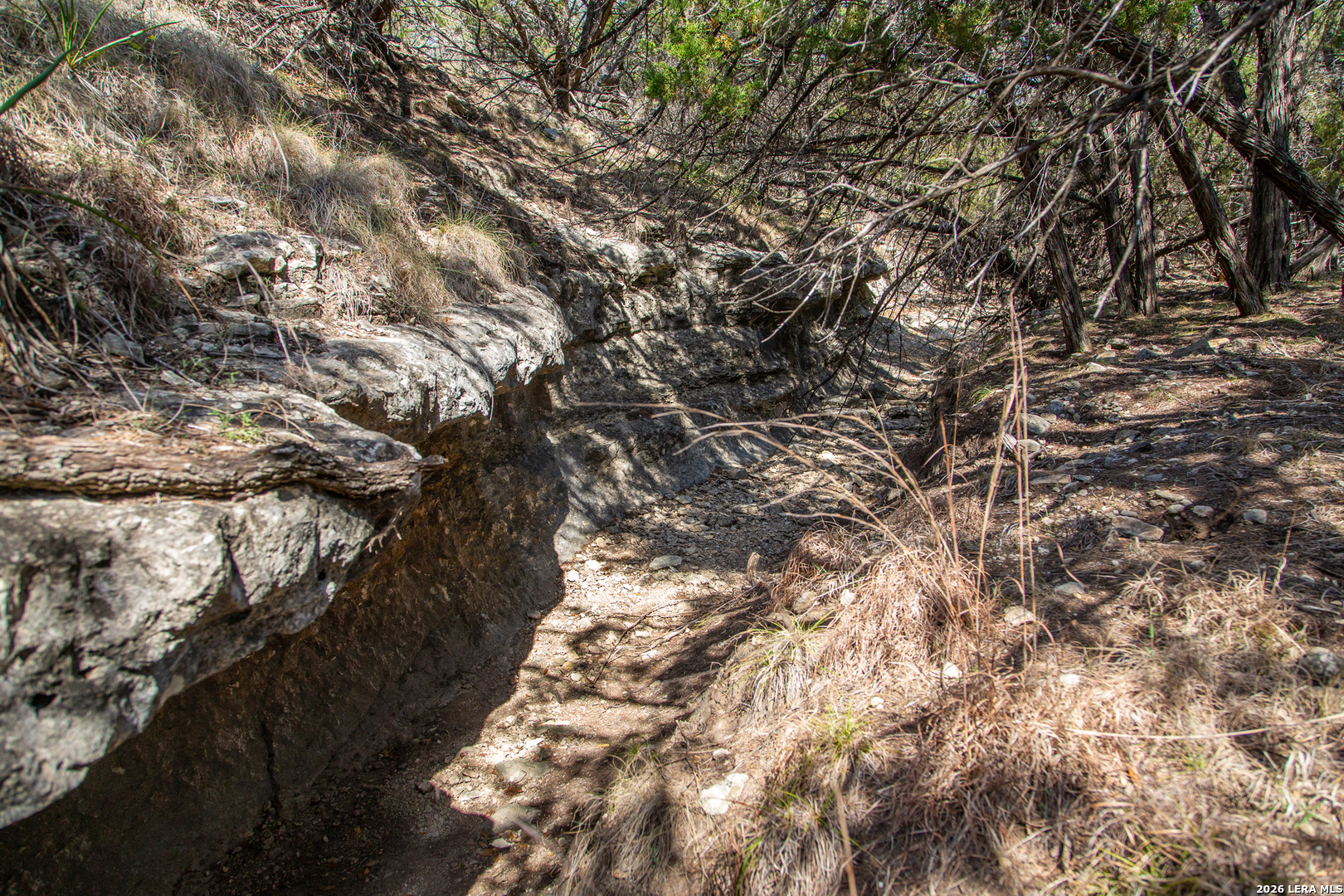 Tbd Rustling Ridge Bulverde TX 78163