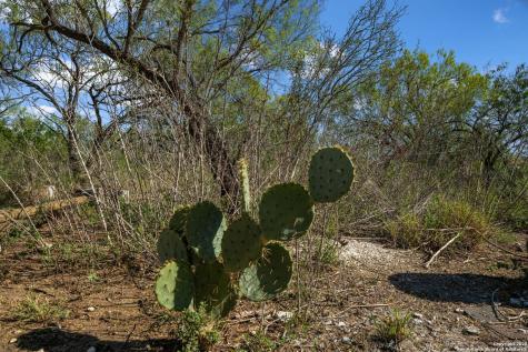 14350 Interstate 35 Von Ormy TX 78073