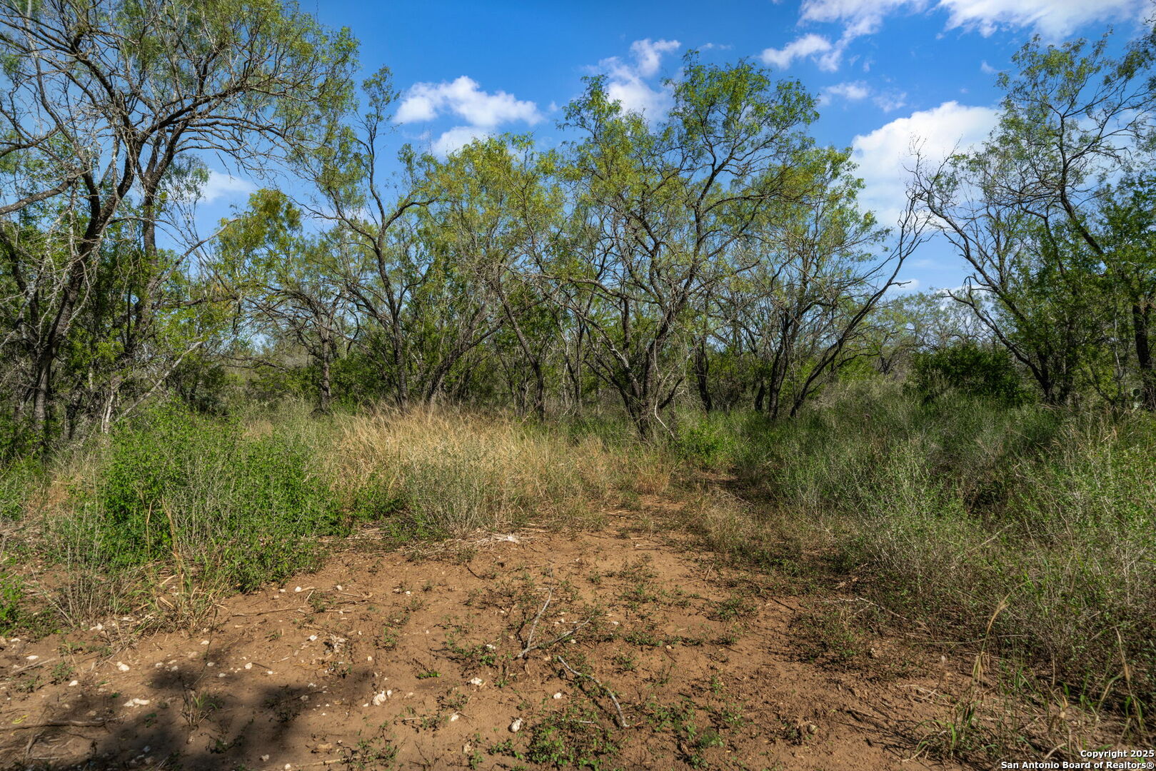 14350 Interstate 35 Von Ormy TX 78073