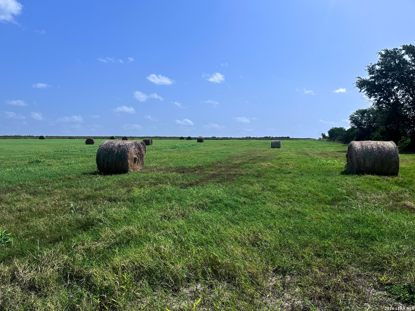 1325 County Road 210 Poth TX 78147