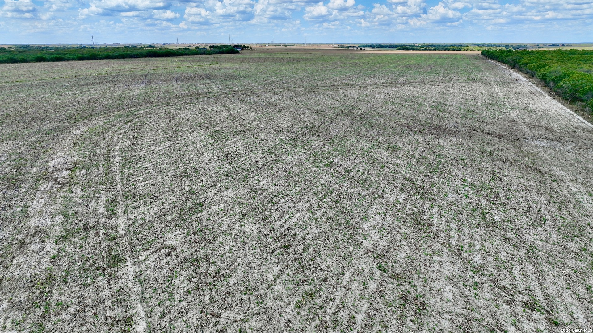 1325 County Road 210 Poth TX 78147