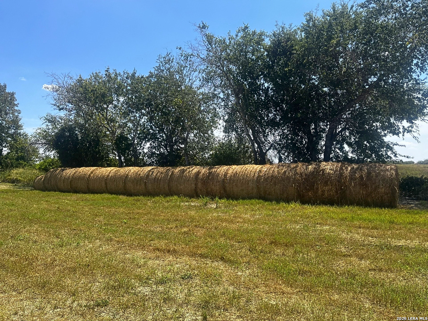 1325 County Road 210 Poth TX 78147