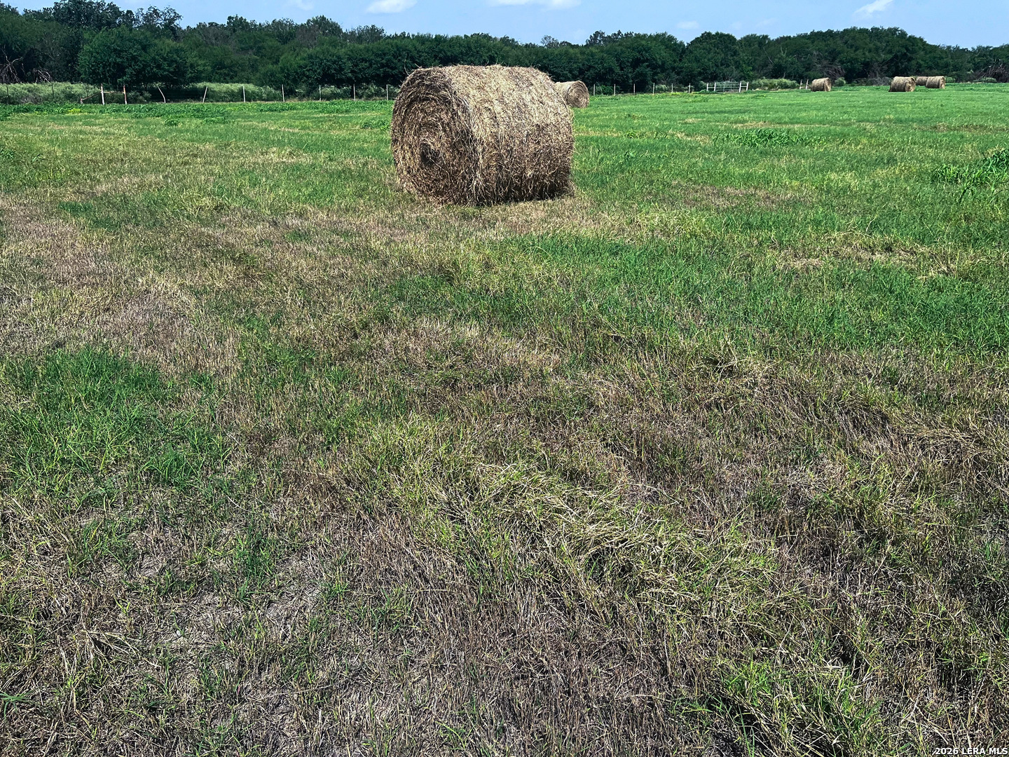 1325 County Road 210 Poth TX 78147