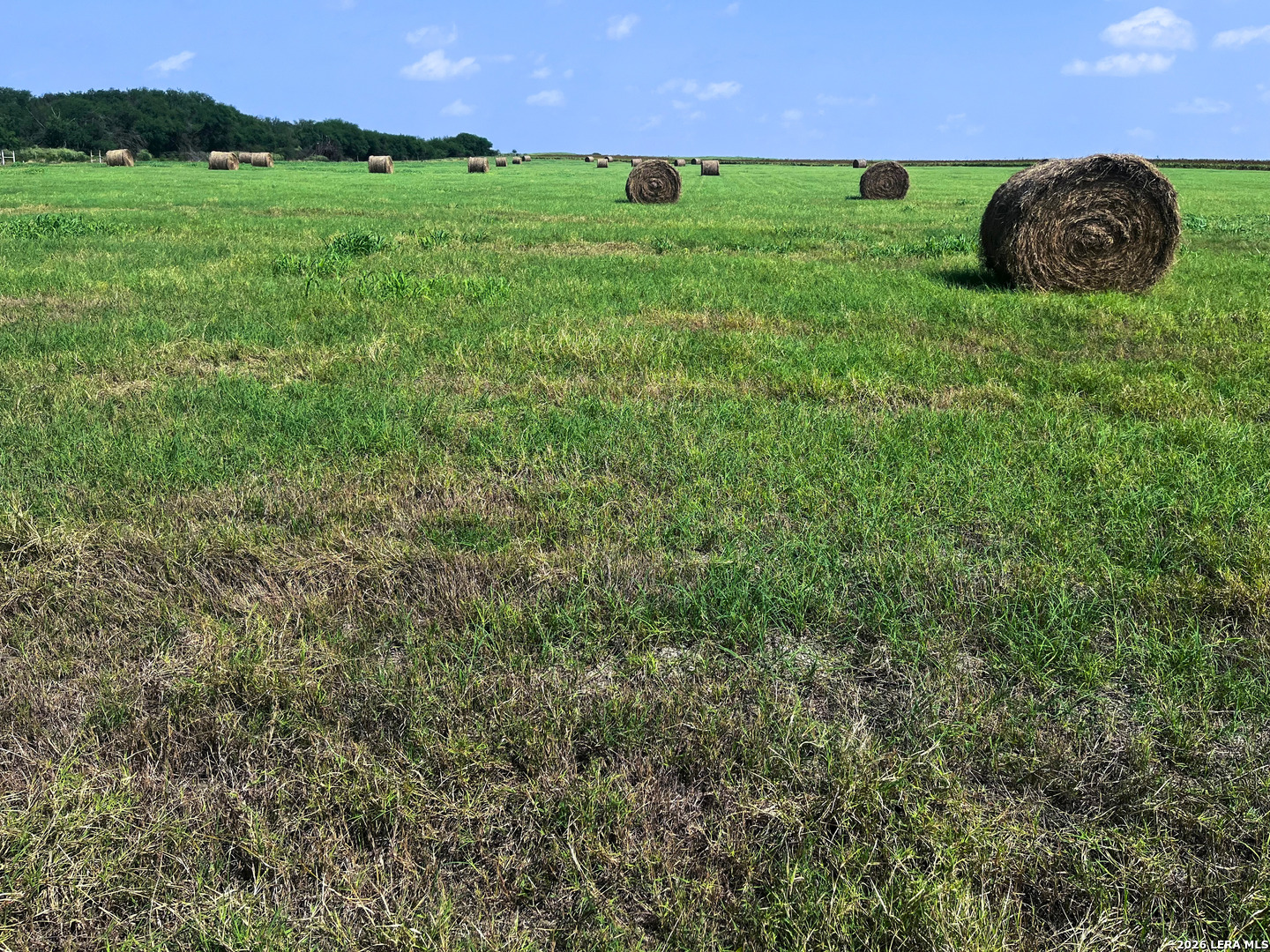 1325 County Road 210 Poth TX 78147