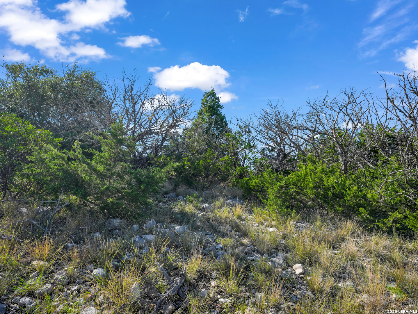 0000 Black Waterhole Ranch Rocksprings TX 78880