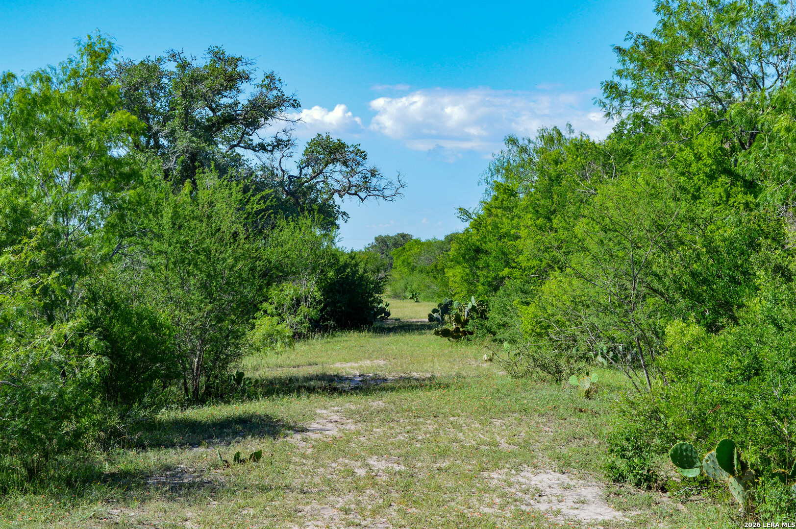 0 Cr 628 Sinton TX 78387