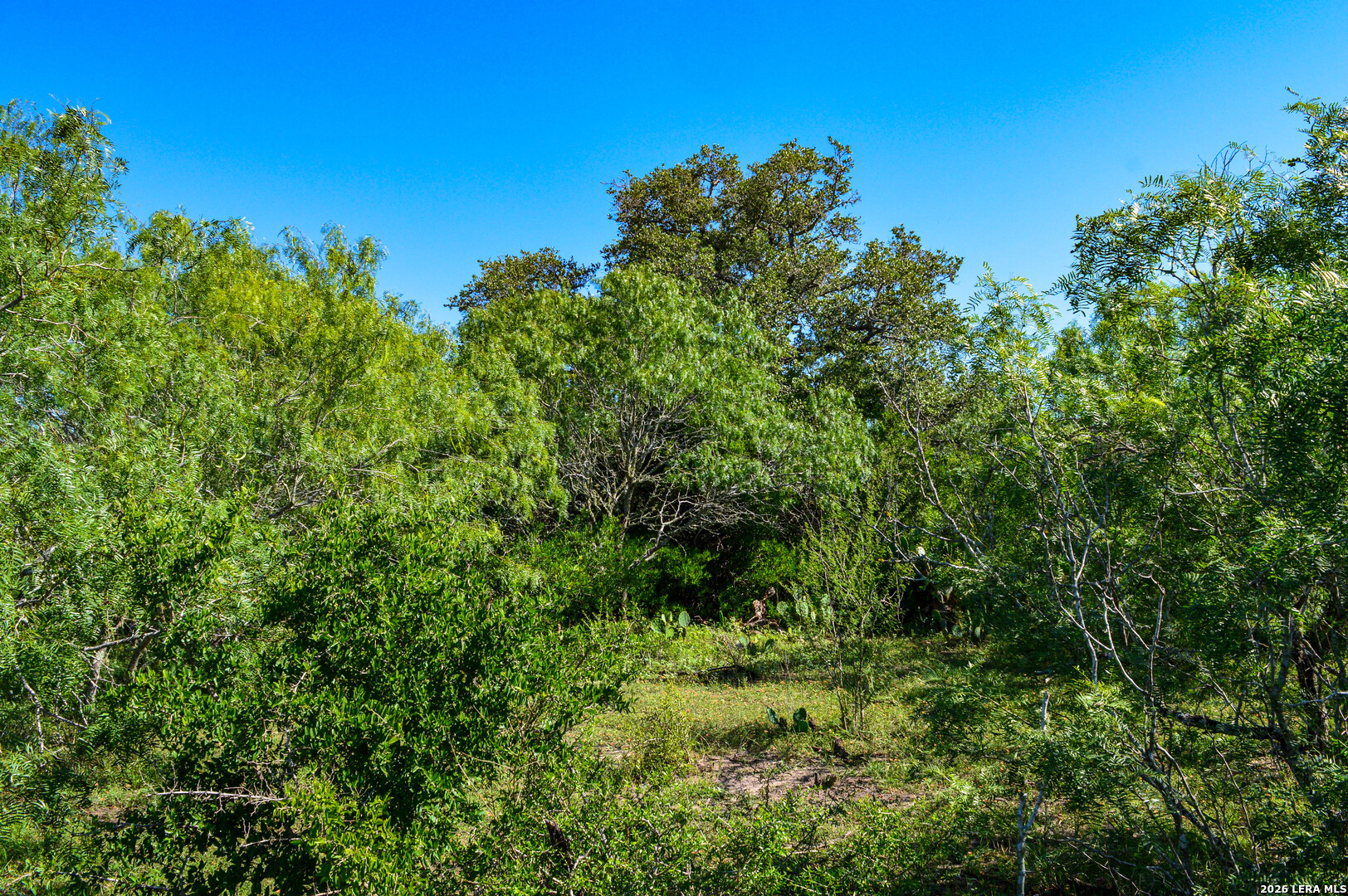 0 Cr 628 Sinton TX 78387