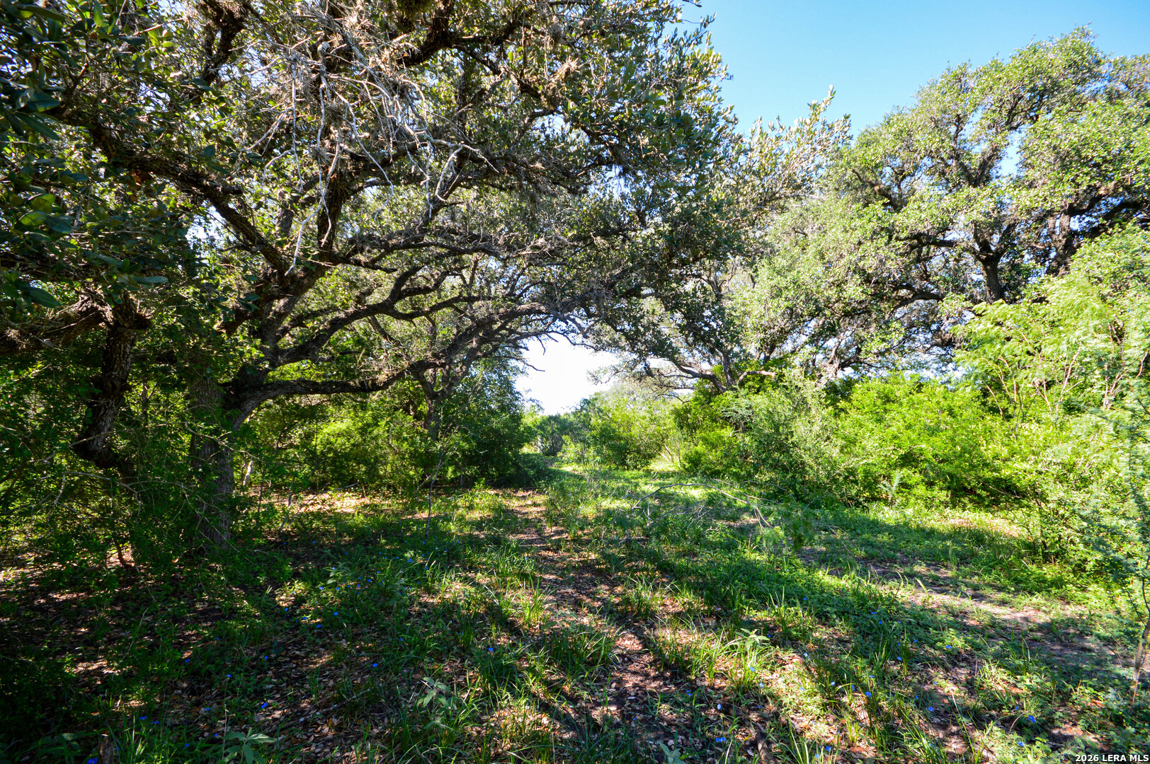 0 Cr 628 Sinton TX 78387